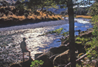 Caples River 101346.jpg